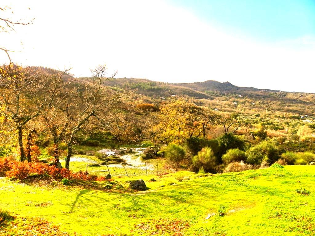 Gasthaus Quinta Do Marvao Zimmer foto